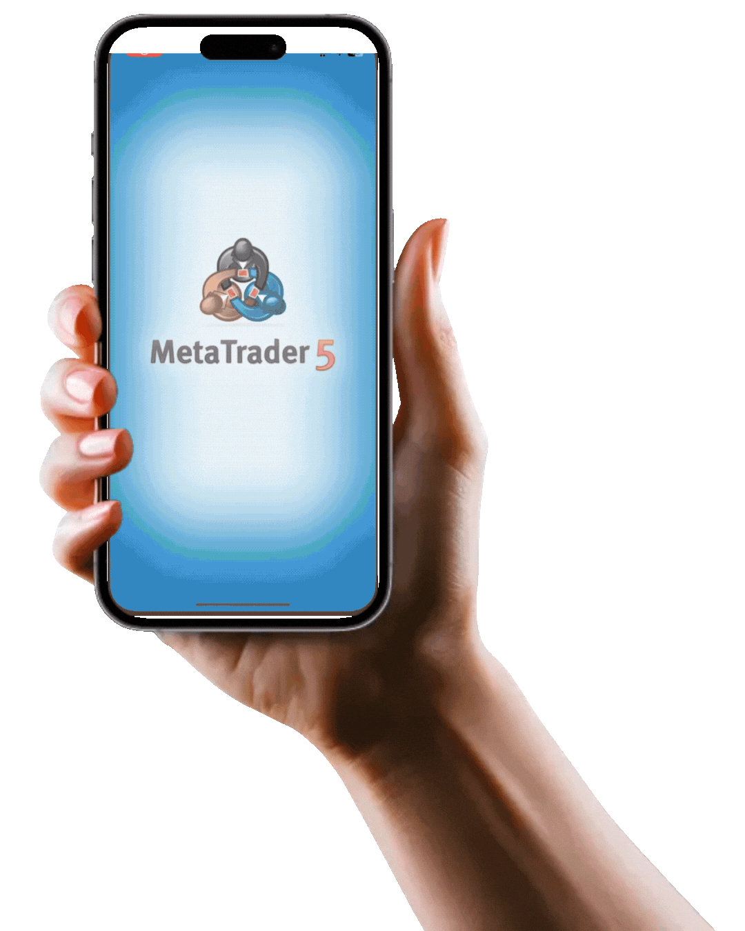 InvestEzzy - forex comex market algo trading software
                        